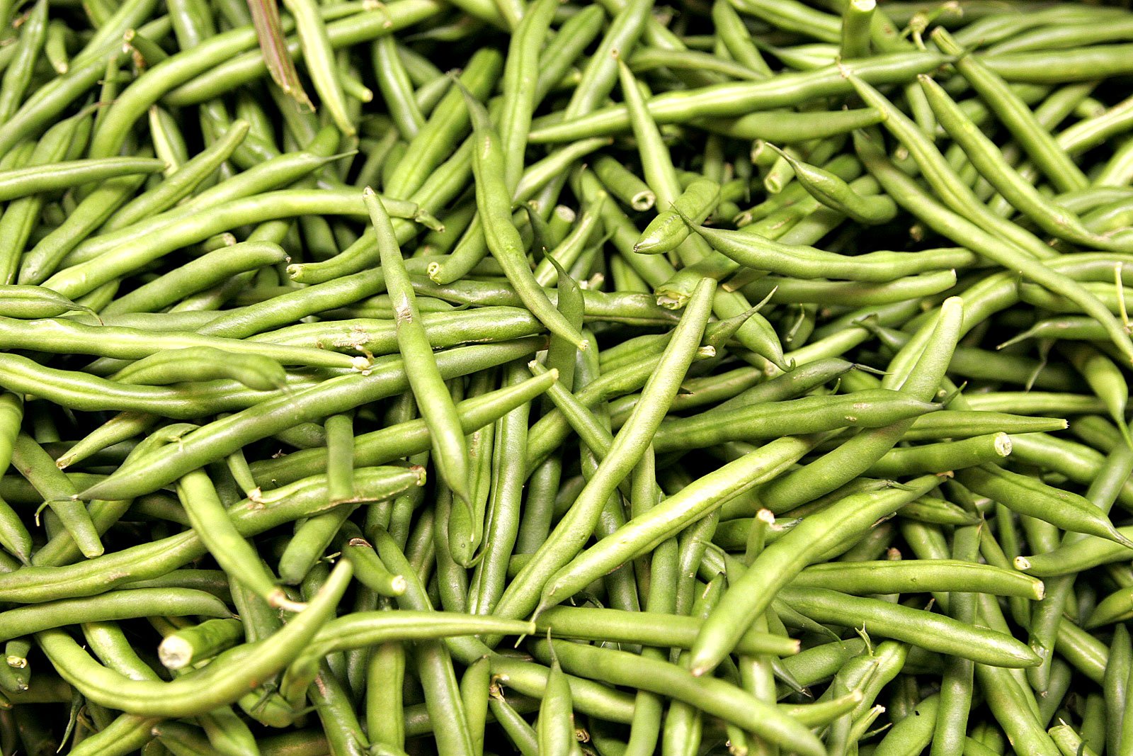 Boranija (varivo)