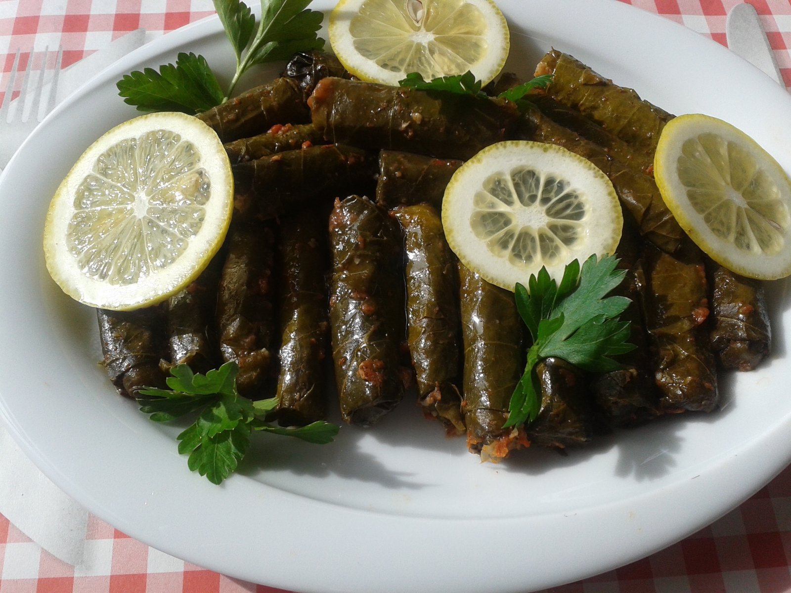 Japrak u lozovim listovima